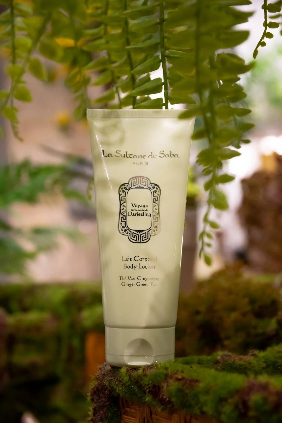 La Sultane de Saba Body Lotion Green Ginger Tea, 200 мл-Молочко для тіла з ароматом зеленого чаю та імбиру-зображення_3