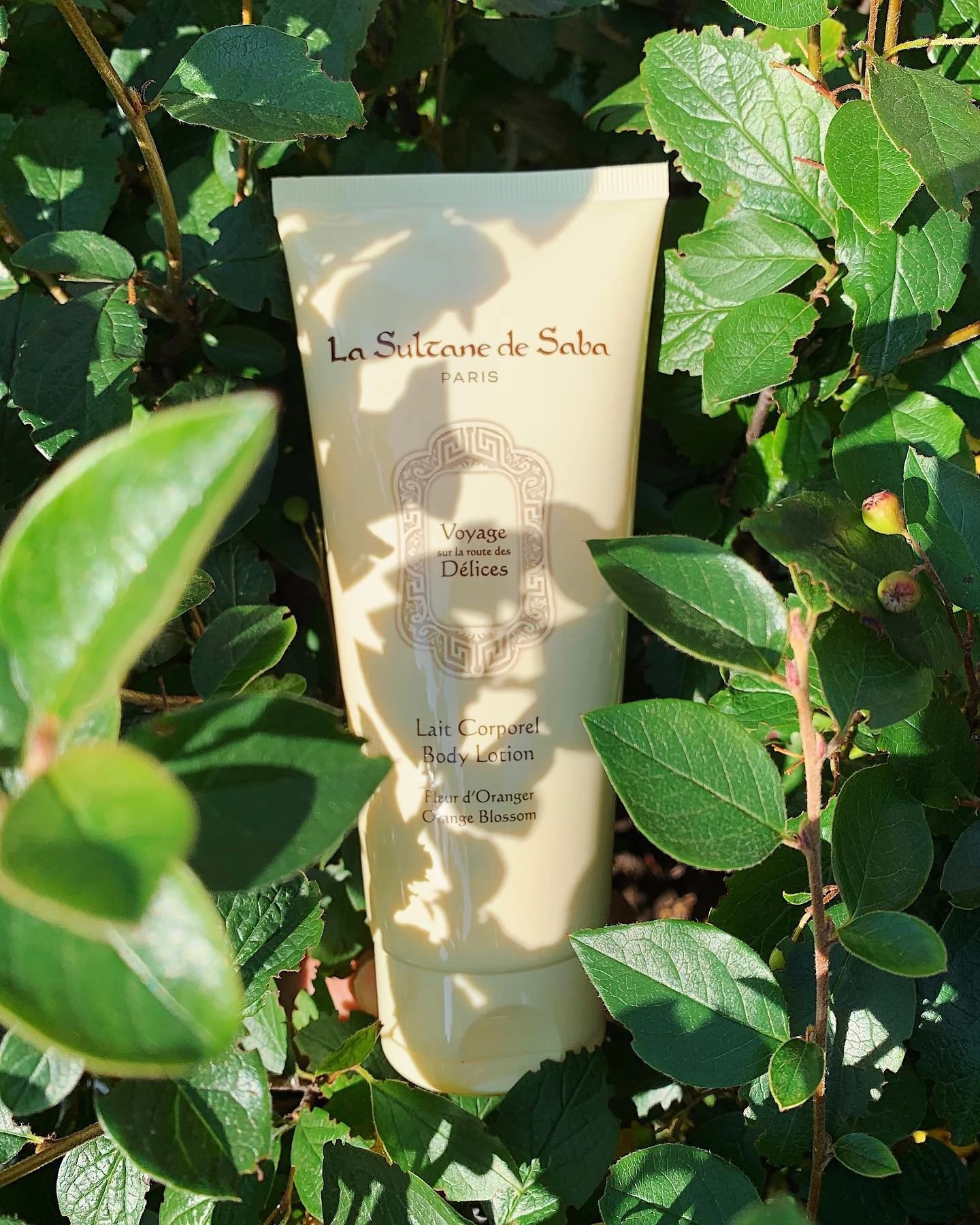 La Sultane de Saba Body Lotion Orange Blossom, 200 мл-Молочко для тіла з ароматом апельсинових квітів-зображення_3